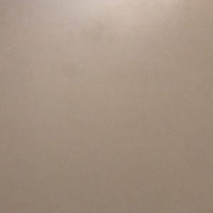 Meet your Posher, Raia